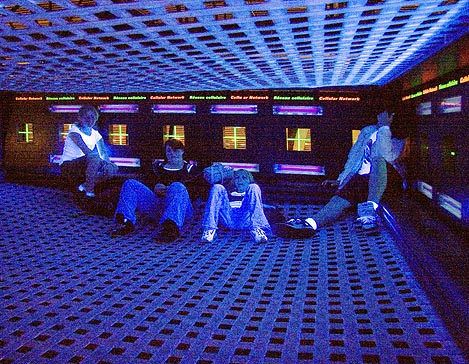 Blacklight Chamber