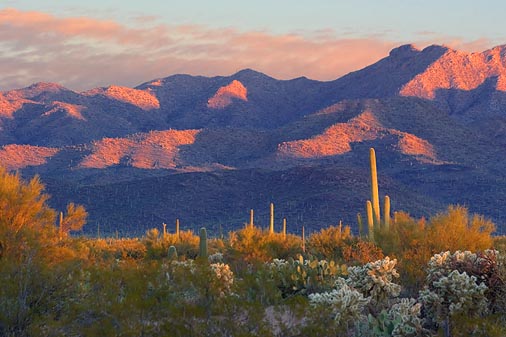 Tucson Mountains Sunrise 77570