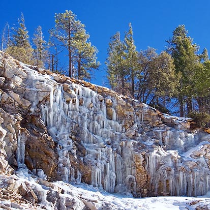 Desert Icicles 78032