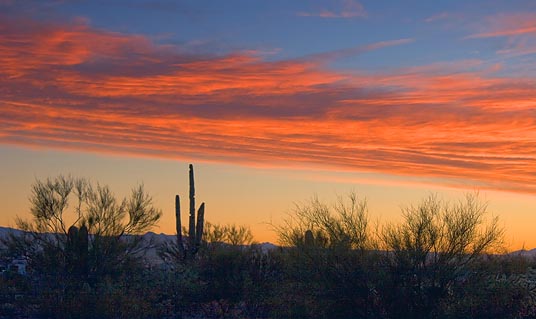 Desert Sunset 20071223