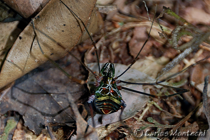 DSC_5884.jpg