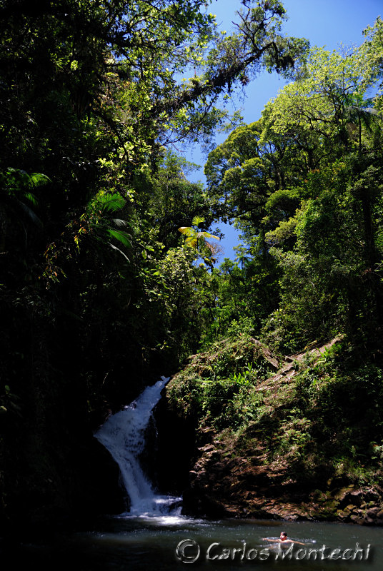 DSC_5908 .jpg