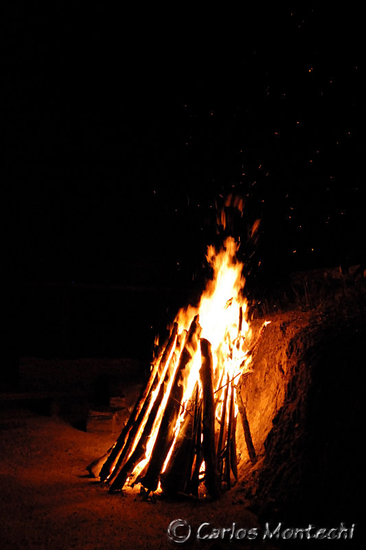 DSC_6113.jpg