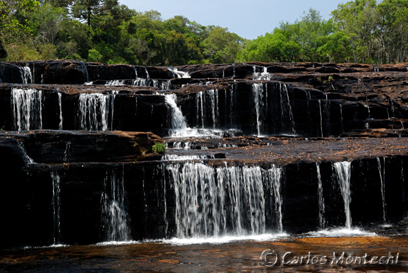 DSC_4195.jpg