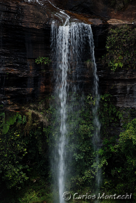 DSC_4379.jpg