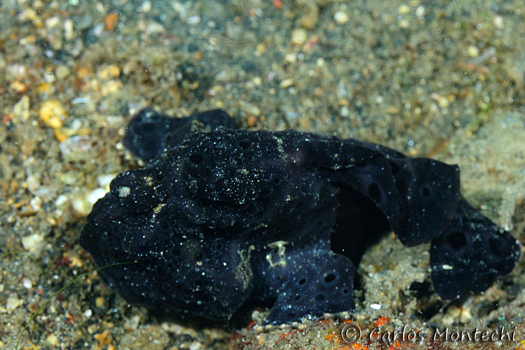 DSC_1319.jpg