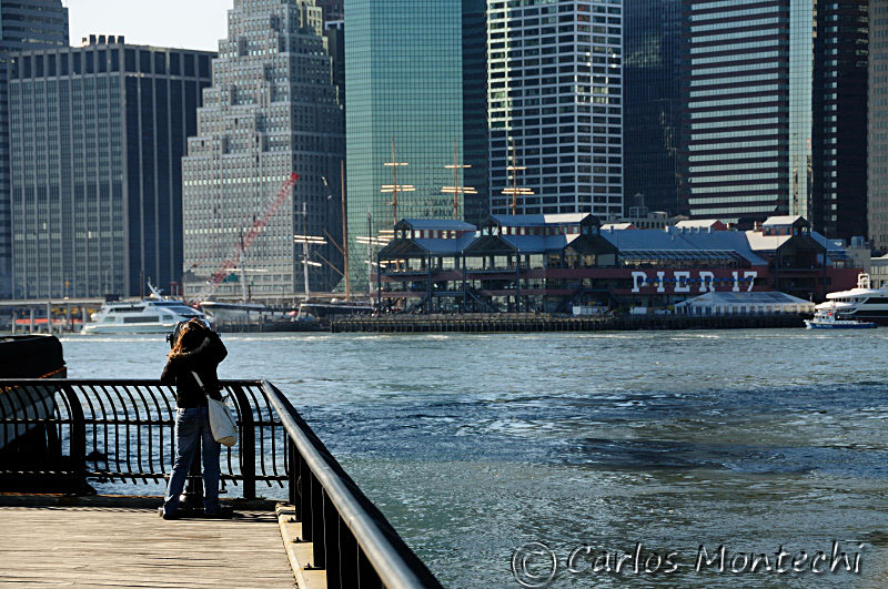 DSC_7204.jpg