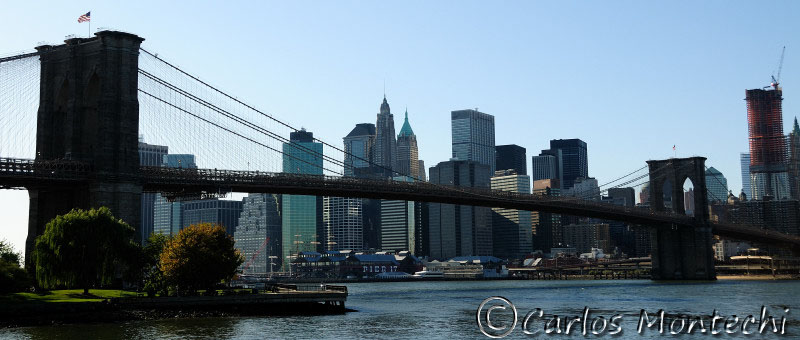 DSC_7238 p.jpg
