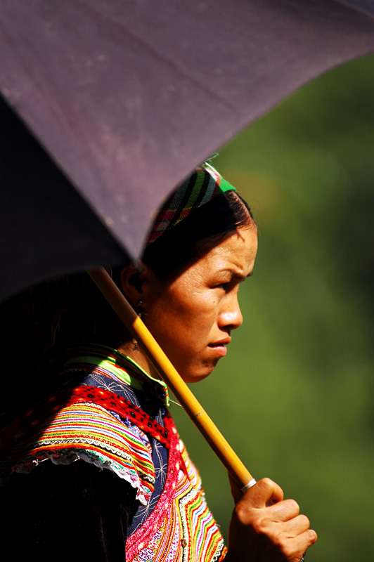 glimpse of hmong