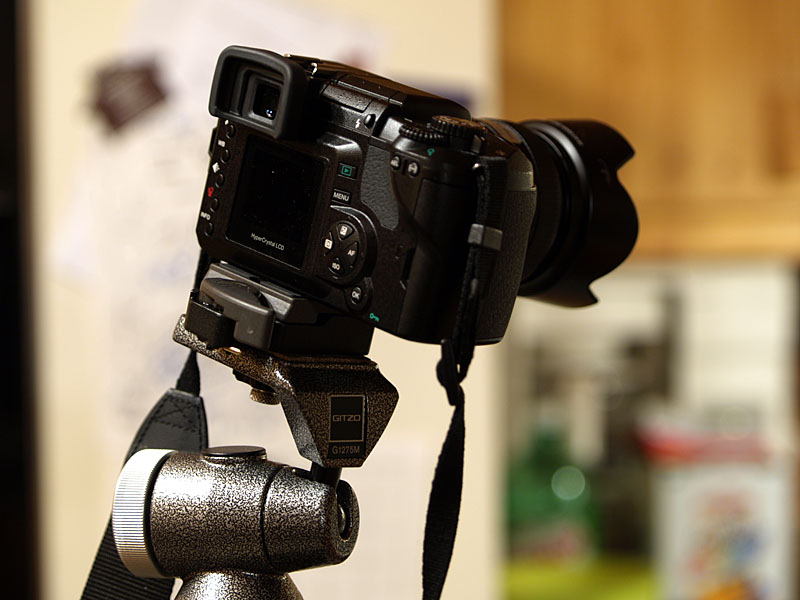 P1053817a.jpg