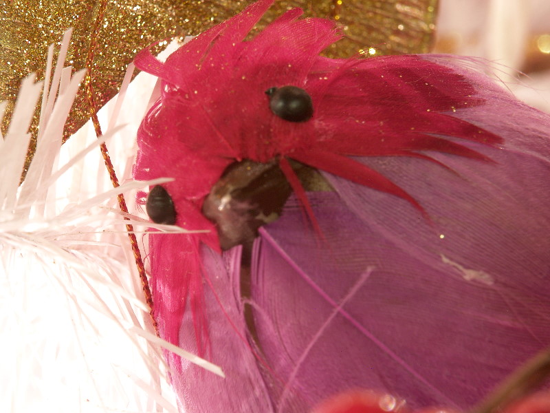 P1071977a.JPG