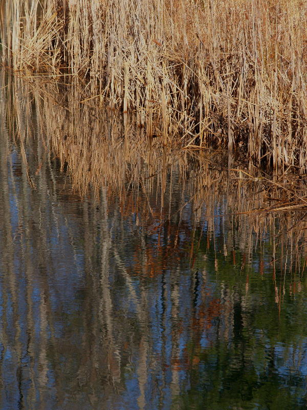 P1122084a.JPG
