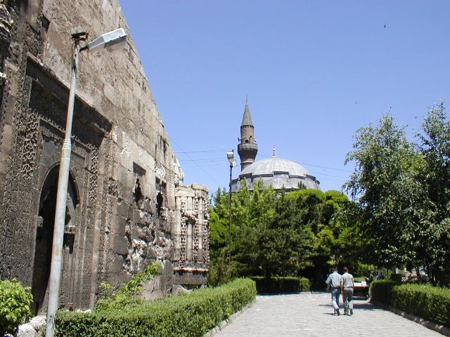 P7060024.JPG