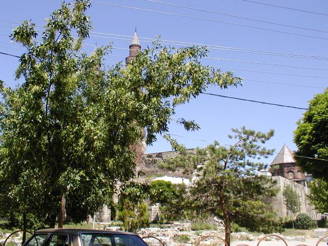 P7070098.JPG