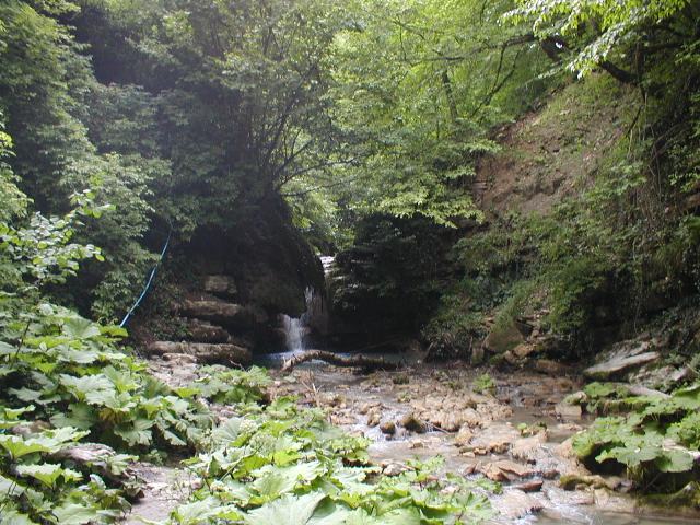 P8090079.JPG