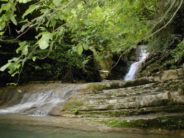 P8090080.JPG