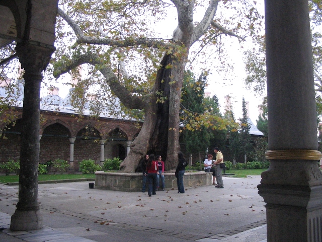 20041024 157.jpg