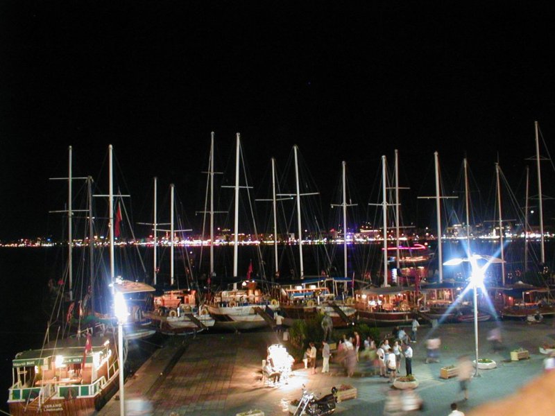 20050208 299.jpg
