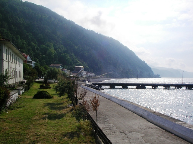 20050615 121.jpg