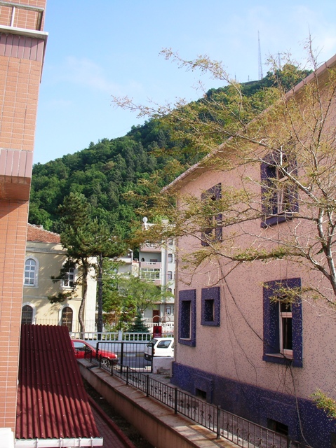 20050615 122.jpg