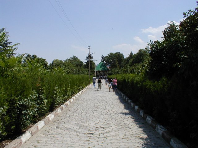 P7120028.JPG