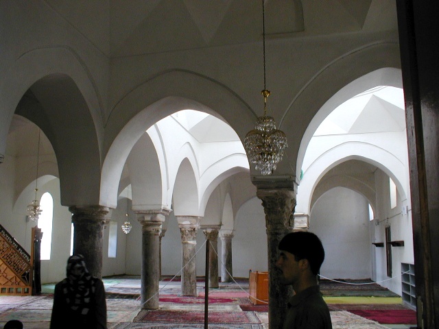 P7130169.JPG