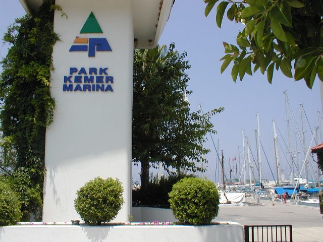 P7140009.JPG