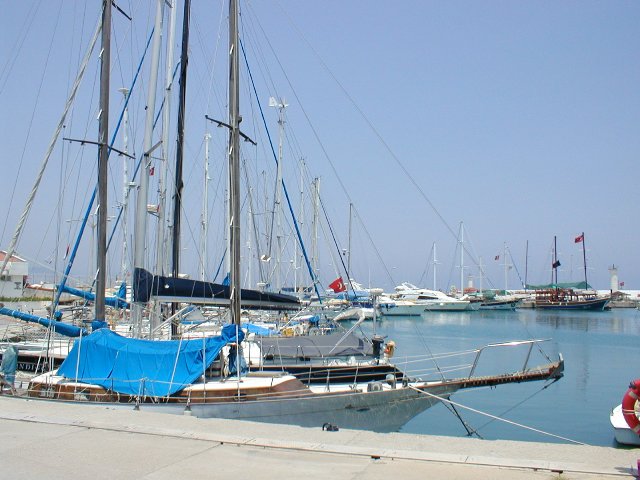 P7140012.JPG