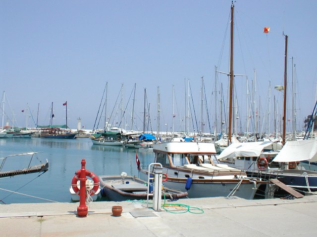 P7140013.JPG