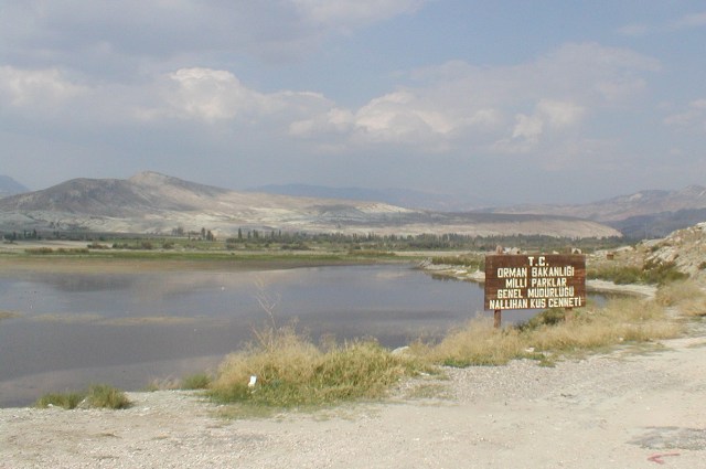 P9130055.JPG