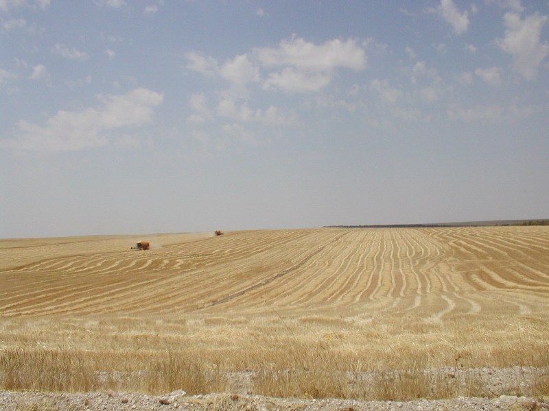 P7120019.JPG