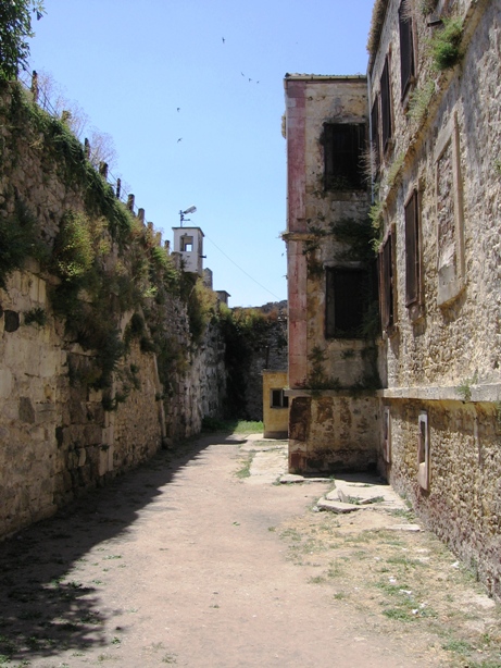 20050711 108.jpg