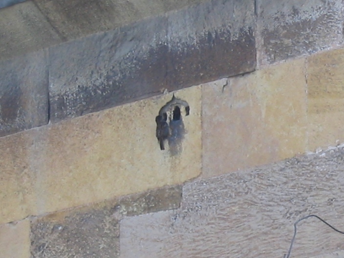 20060315 016.jpg