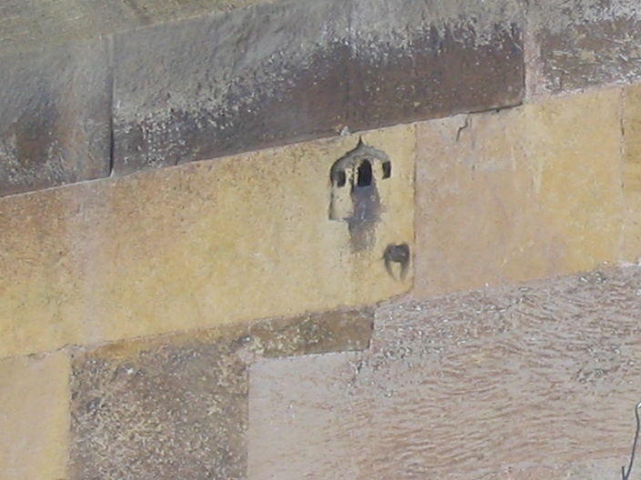 20060315 017.jpg