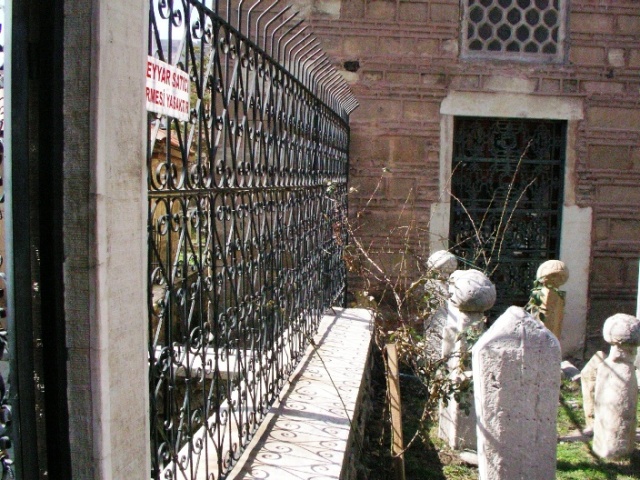 20050226 128.jpg