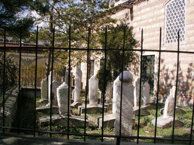 20050226 130.jpg