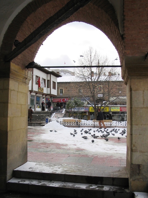 20060202 008.jpg