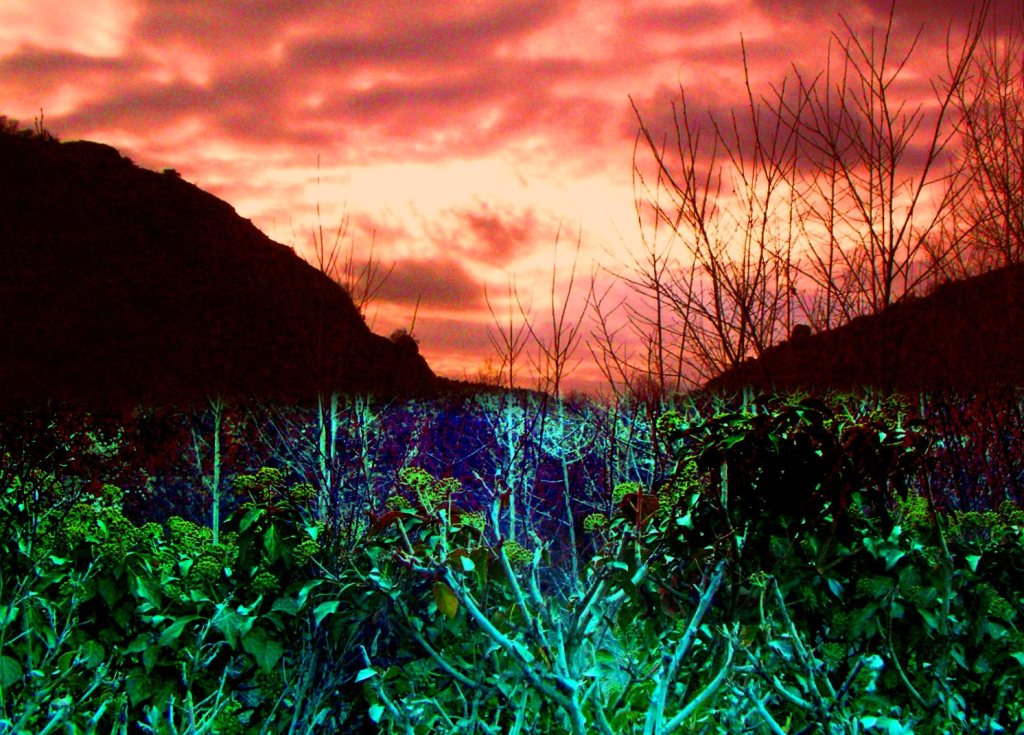 Sun Set at Esen Farm Kastamonu