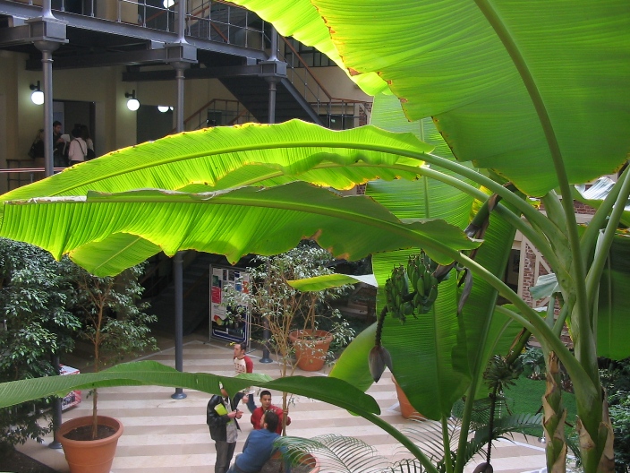 20060428 068.jpg