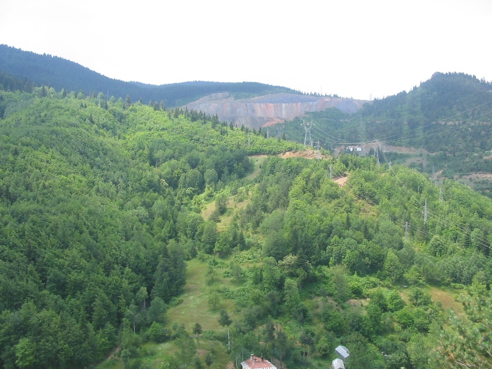 20060718 119.jpg