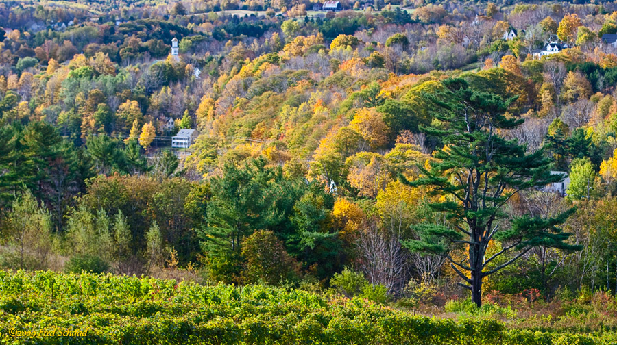 Bear River Valley