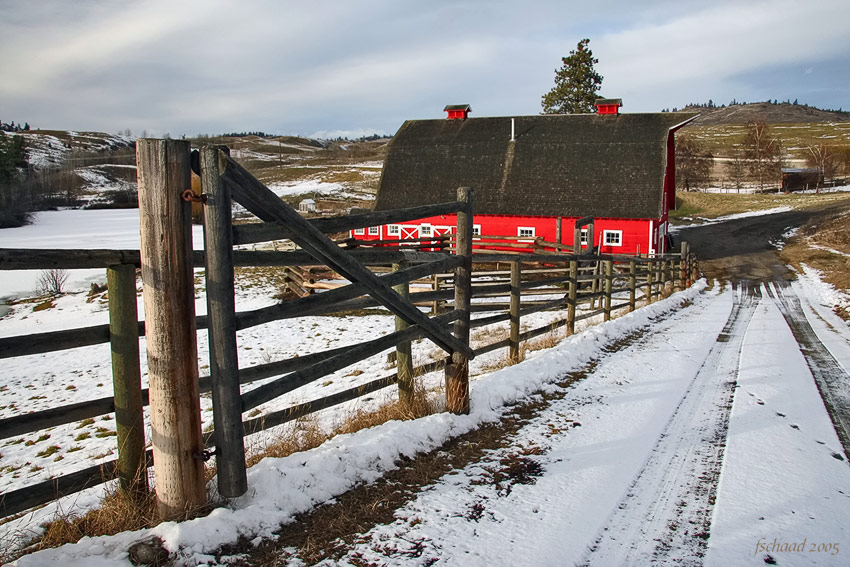 Red Barn II