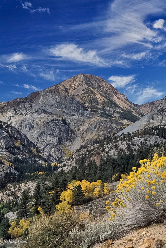 Tioga Pass