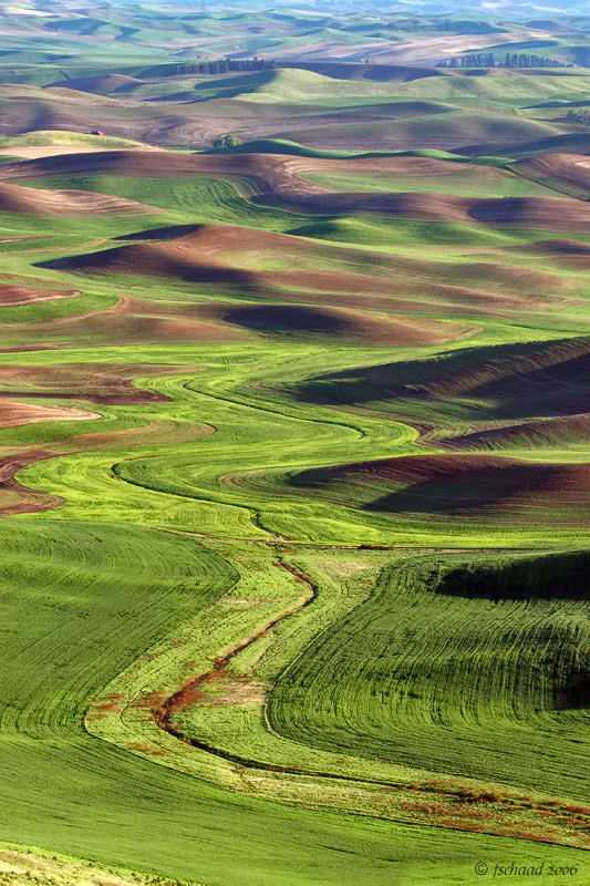 Late Afternoon Light