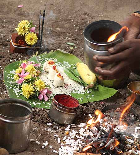 Ritual for the anniversary of a fathers death in Srirangam, Tamil Nadu.