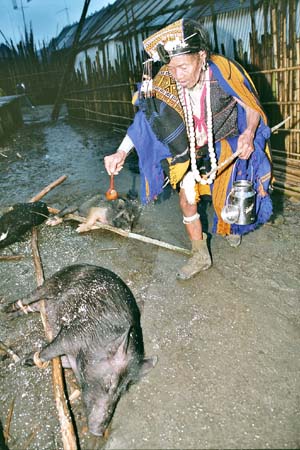 Donyo Polo religion India sacrifice of pig