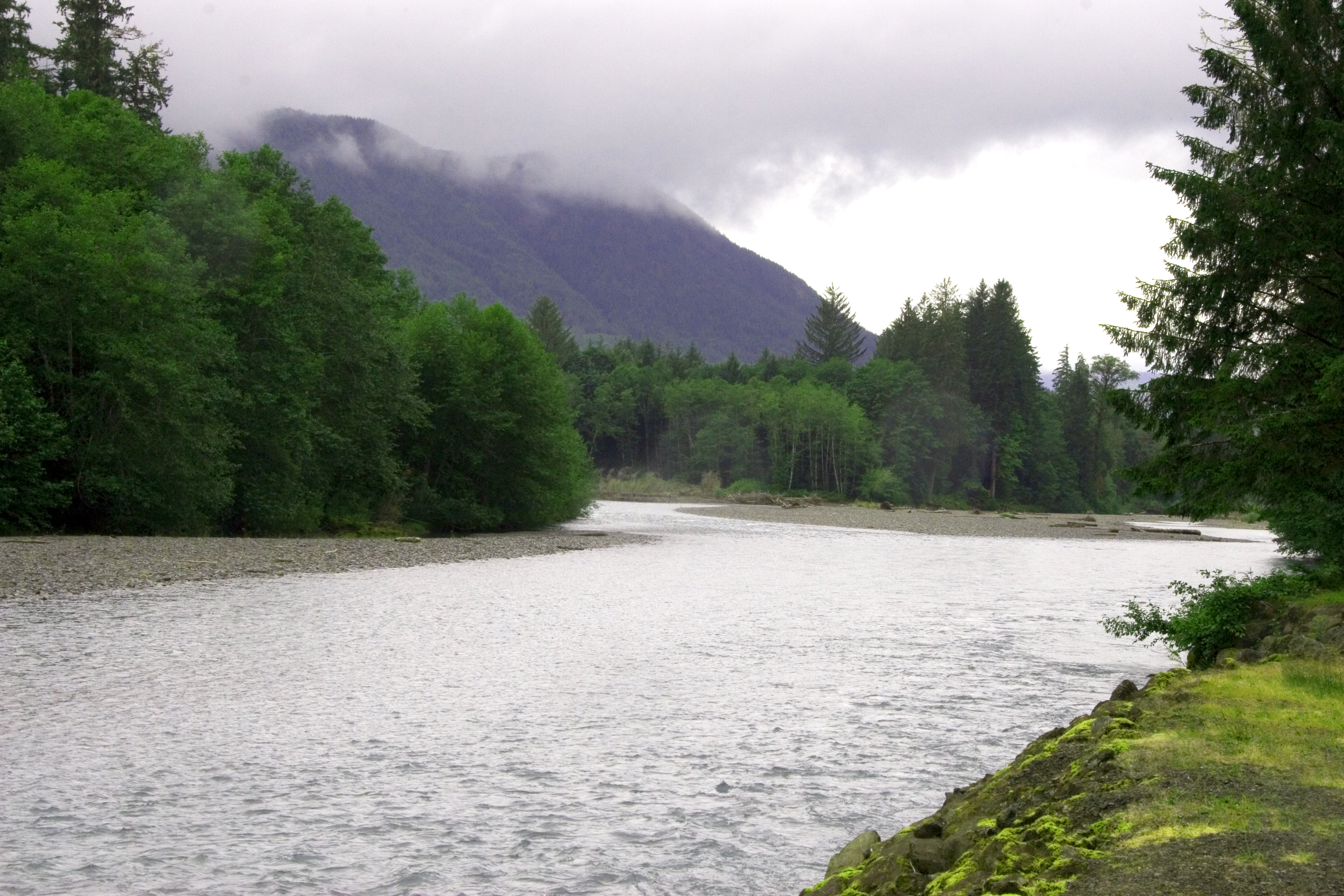 Hoh River