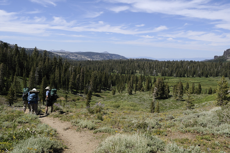 Meiss Meadows