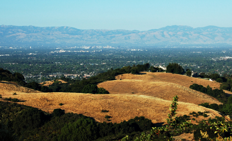 The San Jose skyline