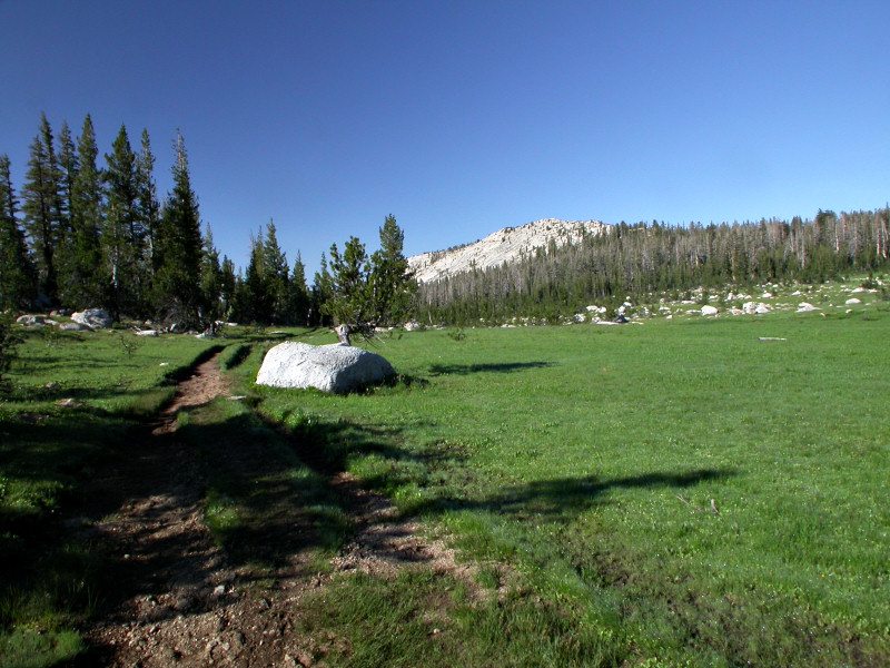 Looking back at this meadow